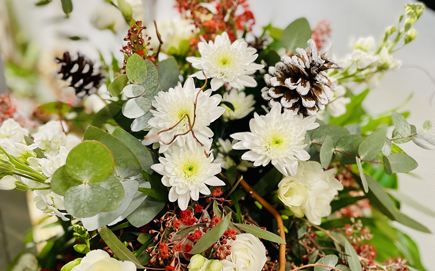 Café-fleurs Pom'Violette