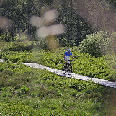 Herfst Wandelen/Well-being Verblijf