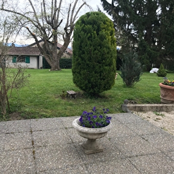 Studio Le Verger - DIVONNE-LES-BAINS