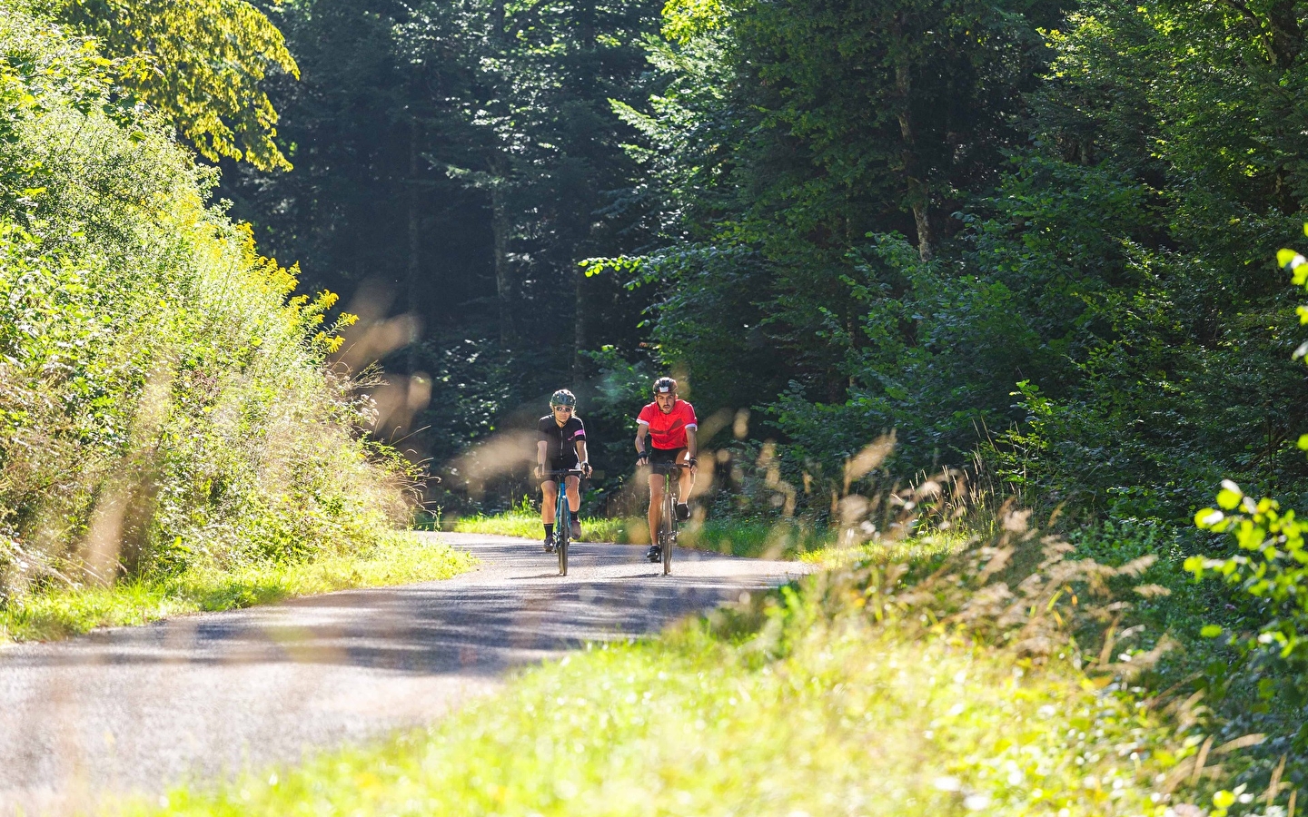 De Bienne-vallei - Fietsroute 03