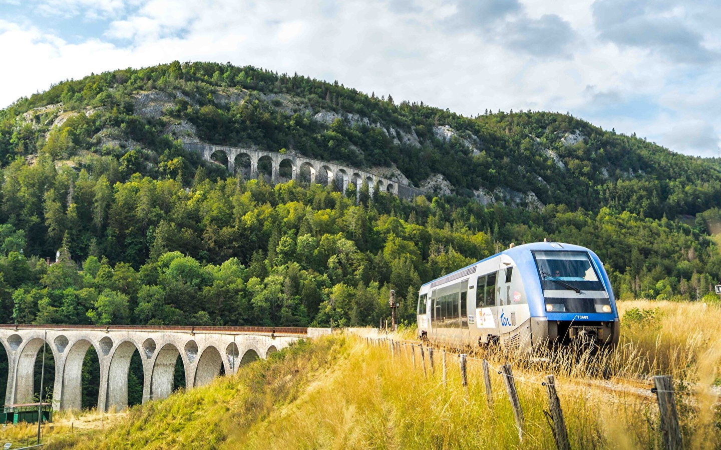 Groepsexcursie onder begeleiding - Ligne des Hirondelles