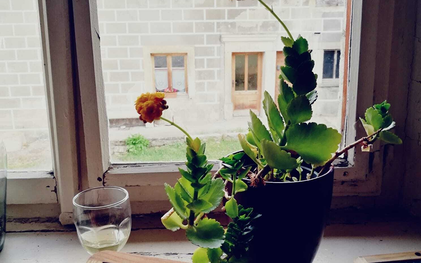 Inleiding tot harmonisch en difonisch zingen