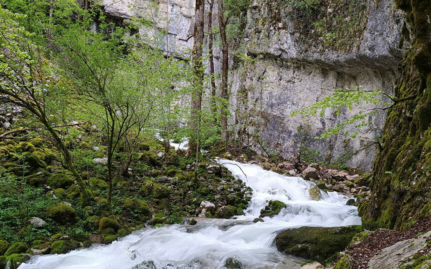 Source du Bief de la Ruine et Creux des Joyaux