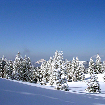 Site Nordique du Haut Saugeais Blanc - PAYS-DE-MONTBENOIT