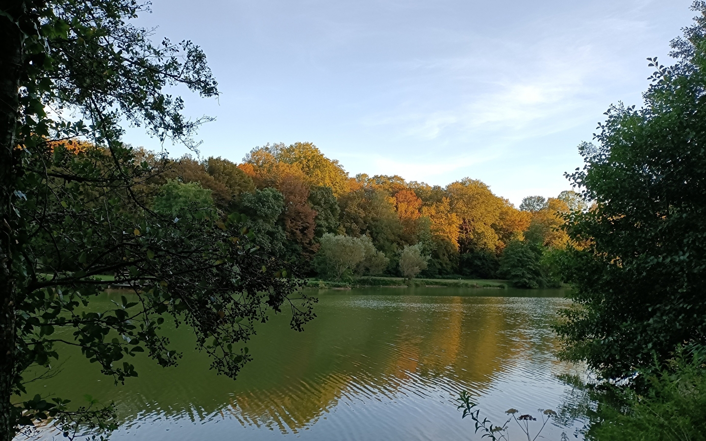 Circuit Princes Ponds