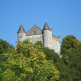Château de Montveran - CULOZ