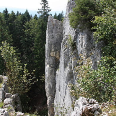 Grand Goulet en Trois Commères