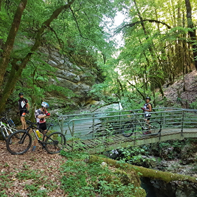 Randonnée VTT avec Sylvain Poncet
