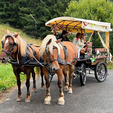 La calèche des Chauvins