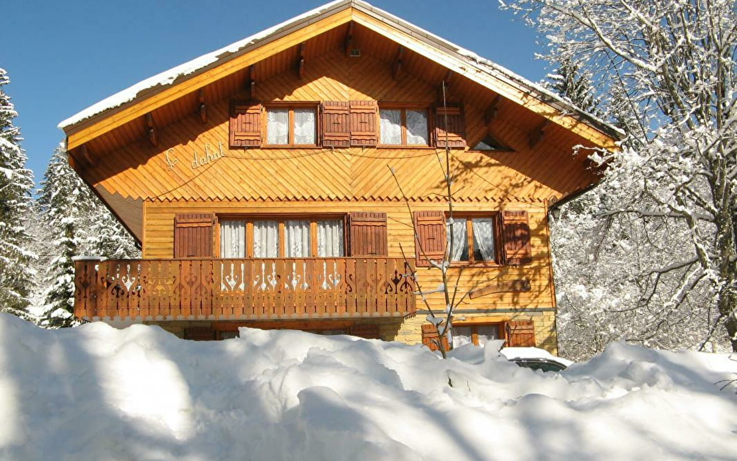 Chalet le Dahut (3 personnes + Clic-clac)