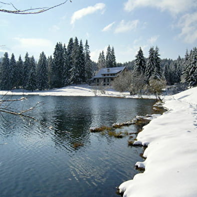 Bar de l'Auberge du Lac Genin