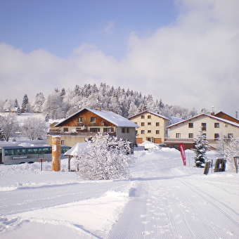 Mme Gapin - LA PESSE