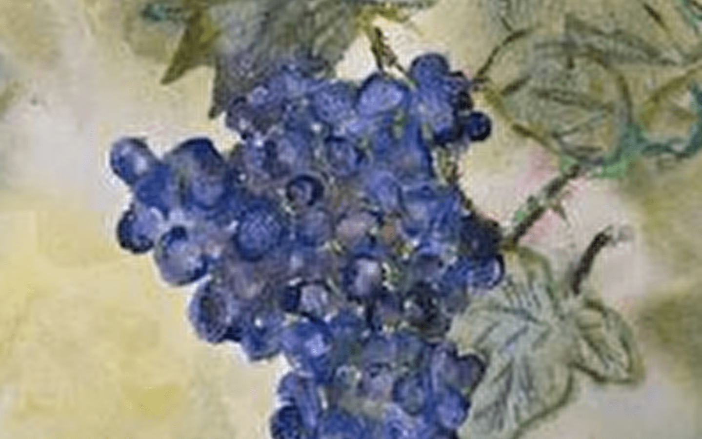 Voyage en aquarelles' tentoonstelling