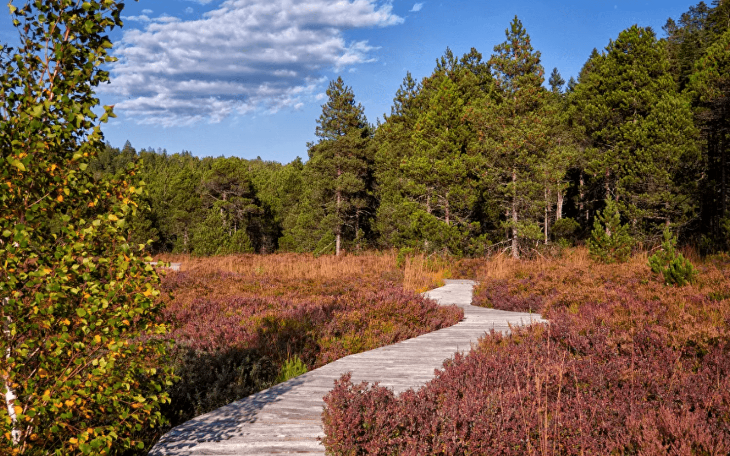 Herfst Wandelen/Well-being Verblijf