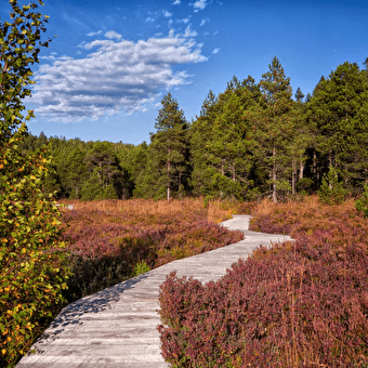 Herfst Wandelen/Well-being Verblijf -