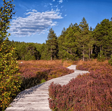 Herfst Wandelen/Well-being Verblijf