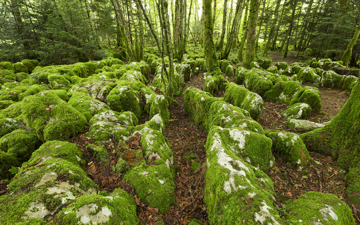 Karst