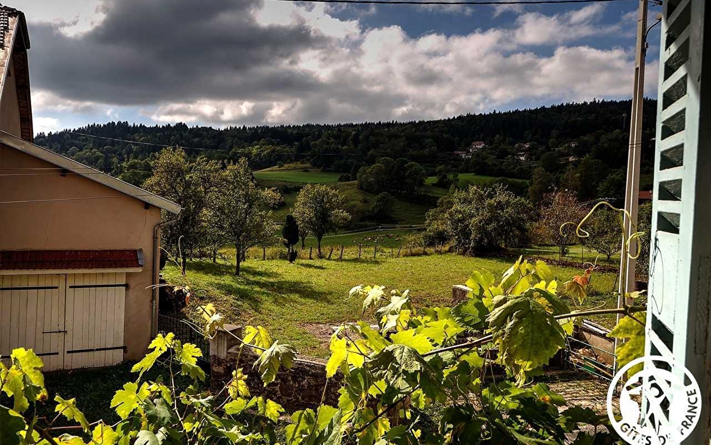 Gîte La Vigne