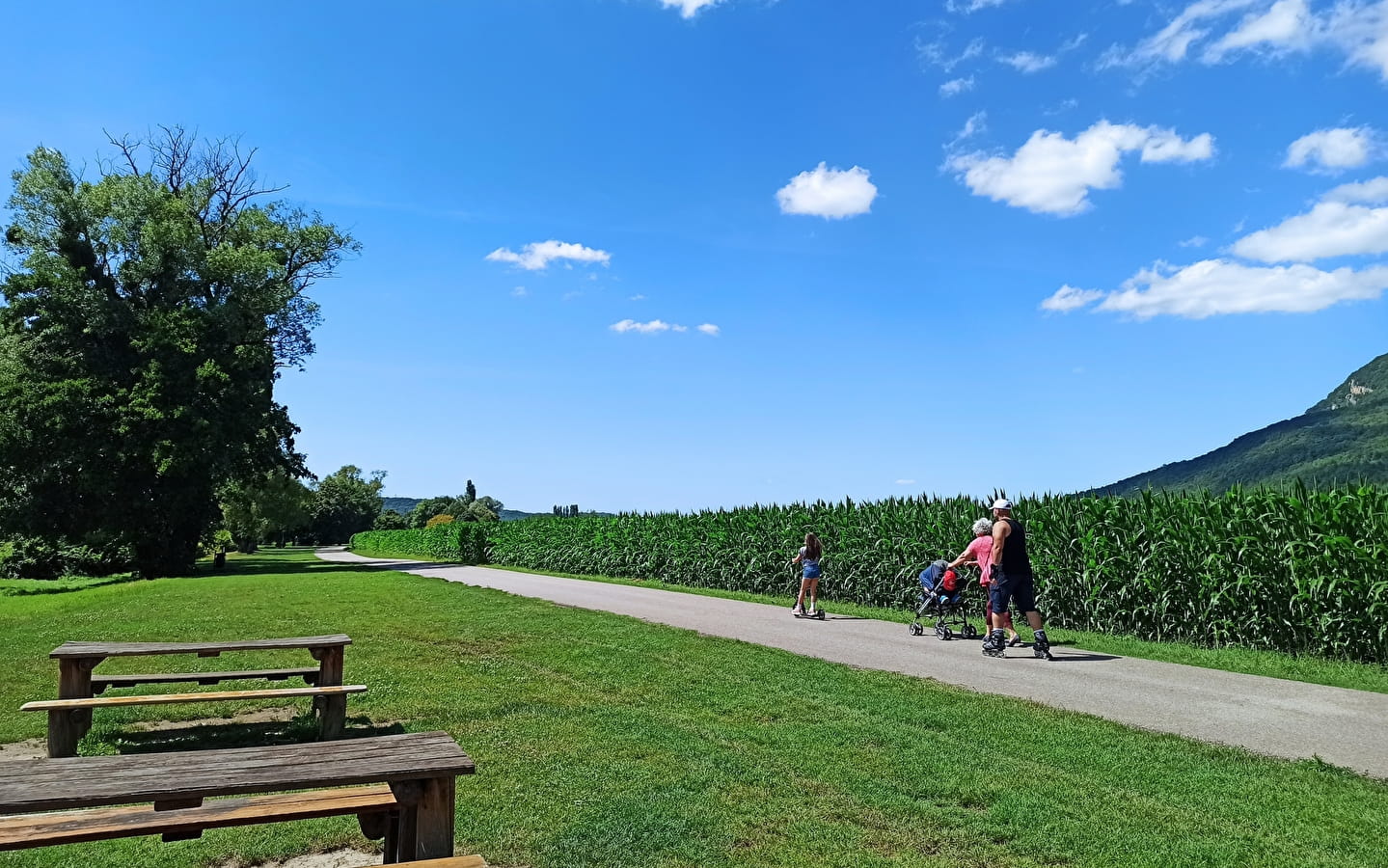 Aire de pique-nique sur la Via Rhôna