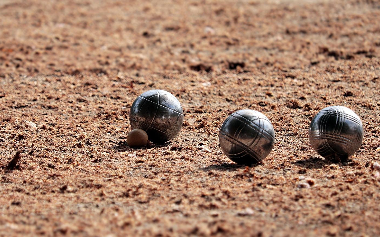 Petanque wedstrijd