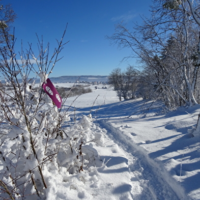 Sneeuwschoenwandeling