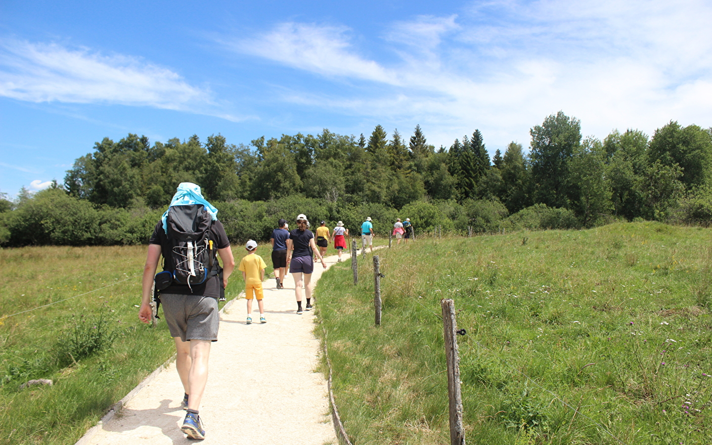 Veenwandeling
