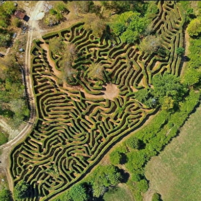 Forêt fantastique