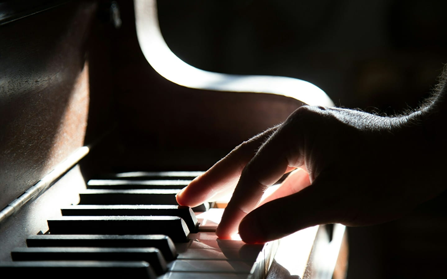 Kamermuziek en piano solo
