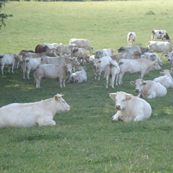 La Ferme de Marcel - VALDAHON