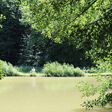 Circuit Princes Ponds