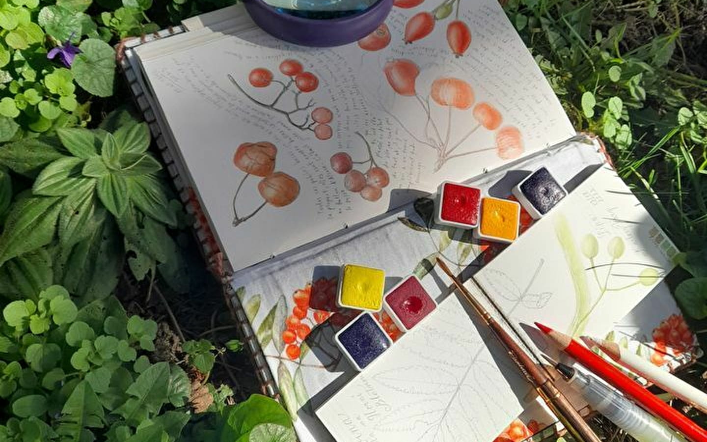 Botanisch notitieboek en tekendag