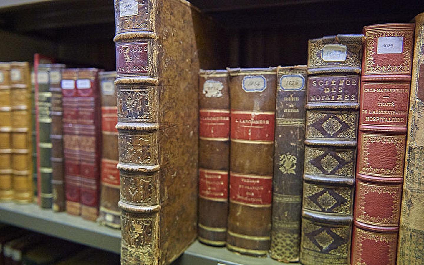 Ontdek onze erfgoedcollectie