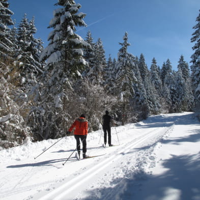 Site Nordique de Nanchez - Prénovel, Chaux des Prés, Les Piards
