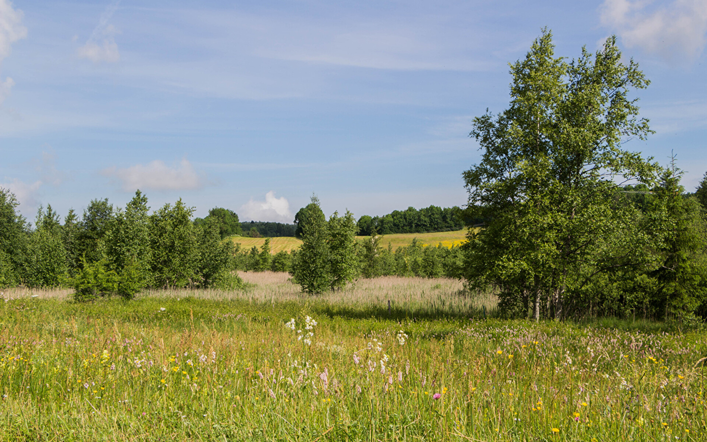 Het meer van Fort-du-Plasne