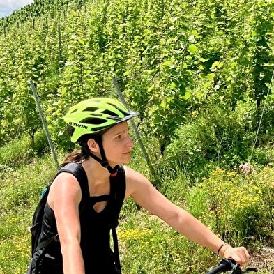 Vaingabond - Location vélos, vélos électriques et paddles