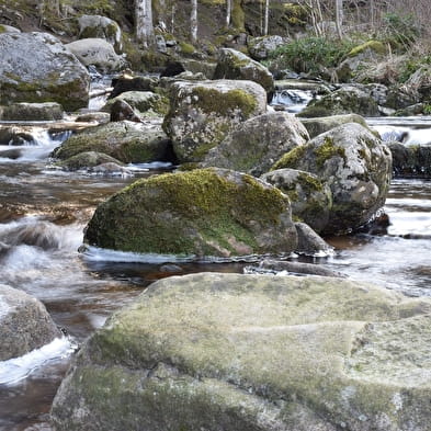 Rivierwater uit de kraan