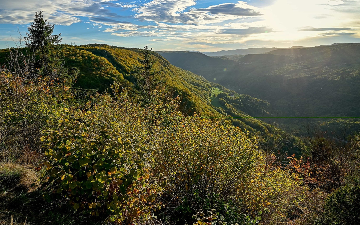 Directe toegang tot de Cuvet