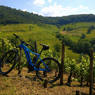 Vaingabond - Location vélos électriques et paddles