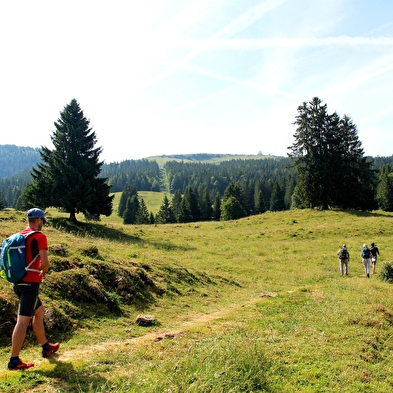 De Grande traversée du Jura te voet - GTJ pédestre