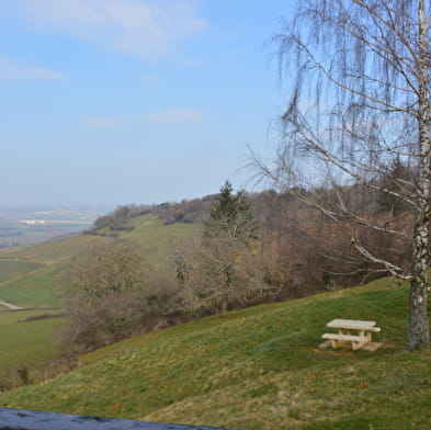 Belvédère du vignoble