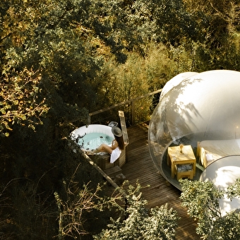 Les Bulles des Géorennes - CHAMPFROMIER