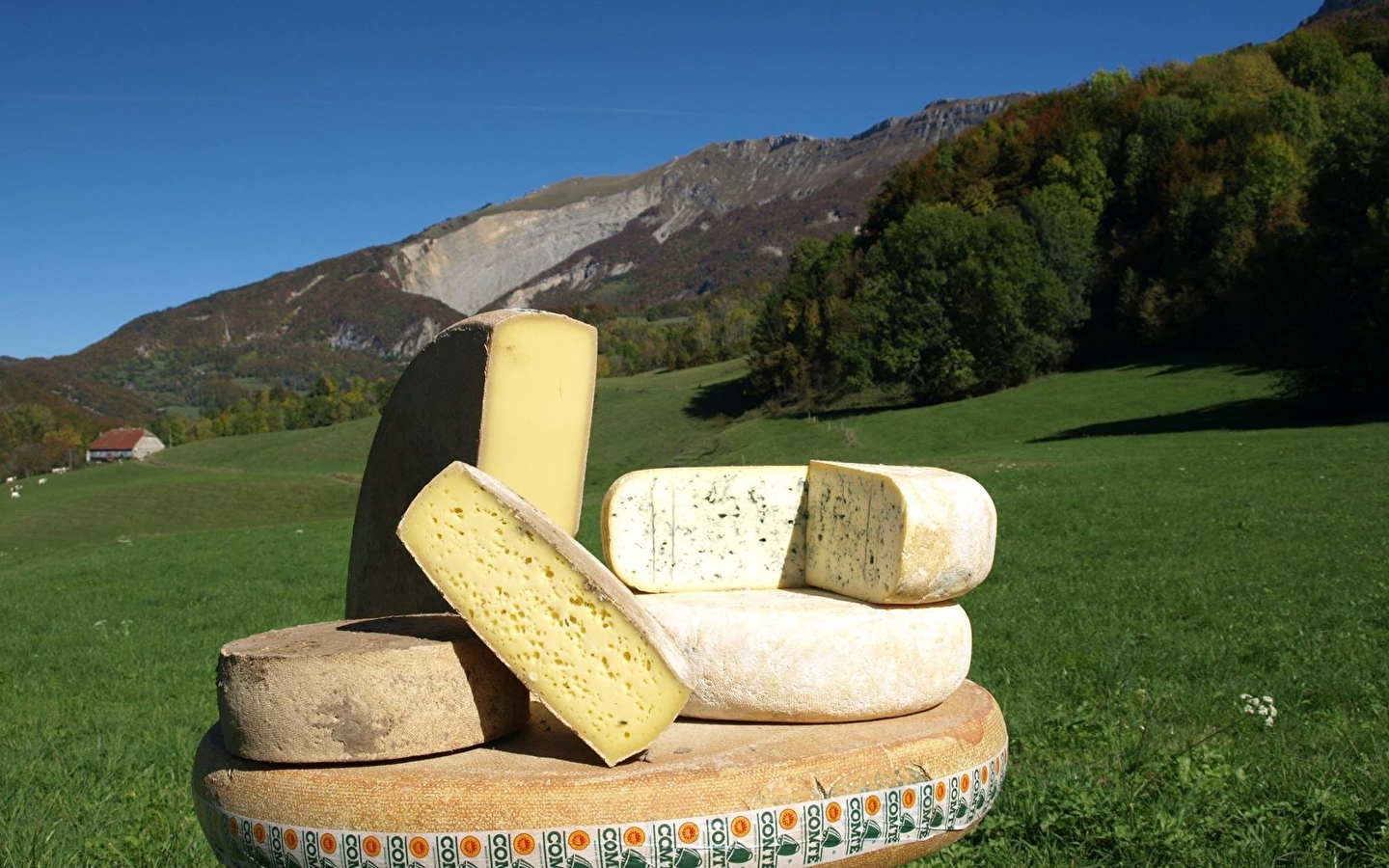 Fromagerie de l'Abbaye - Galerie de visite fermée en raison de travaux