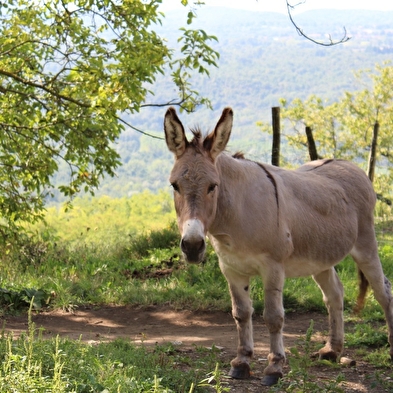 La Lavanche - Arvières