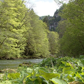 Parcours Pierre de Vorges - GOUMOIS