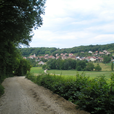 Wandelpad