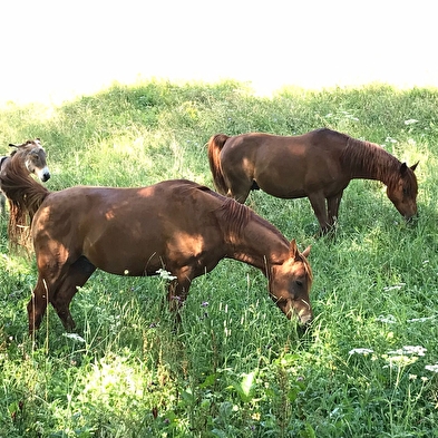 GAEC La Grange des Plans