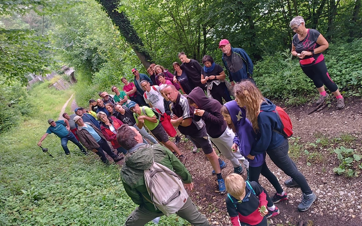 Botanische wandeling