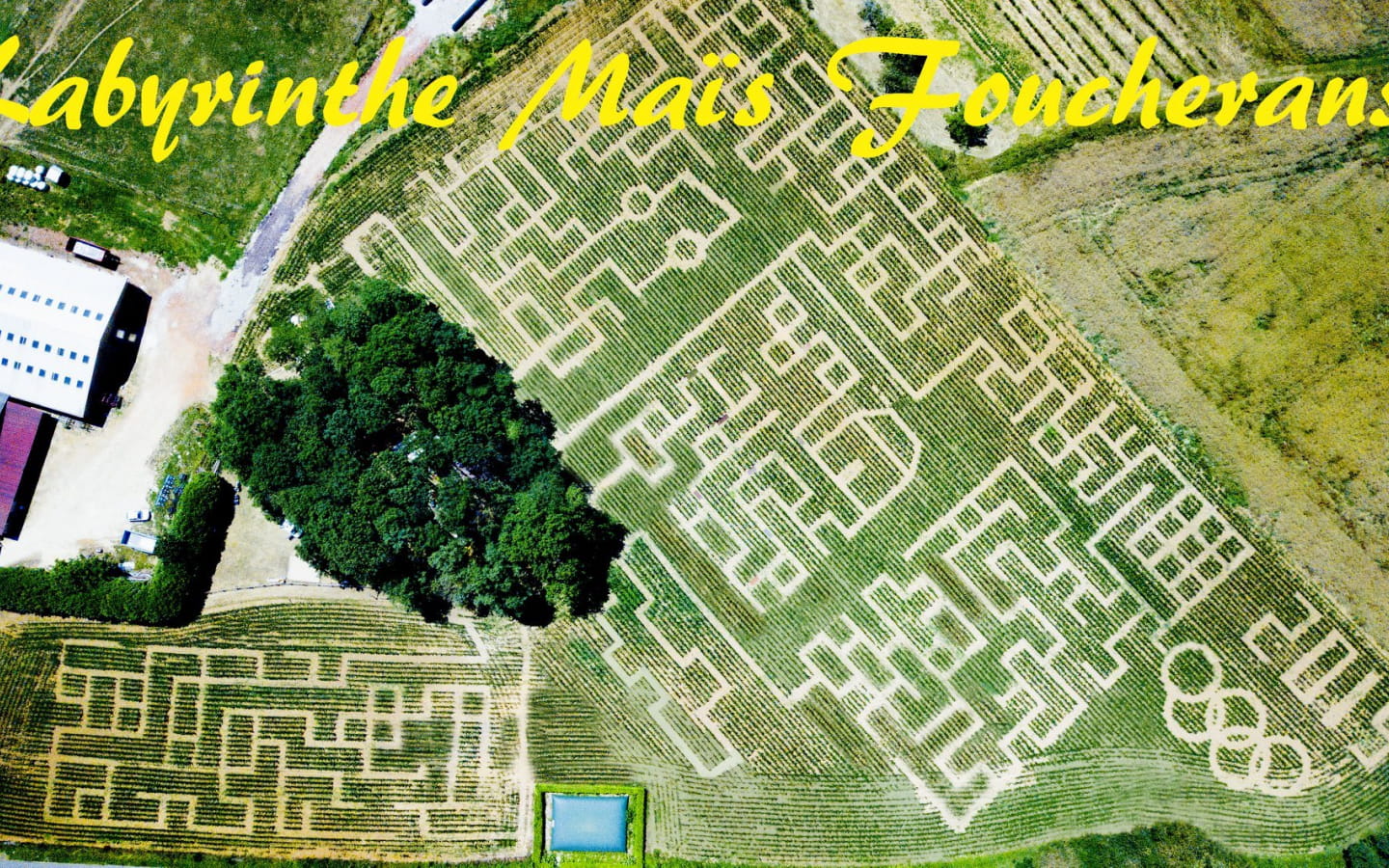 Labyrinthe de Maïs