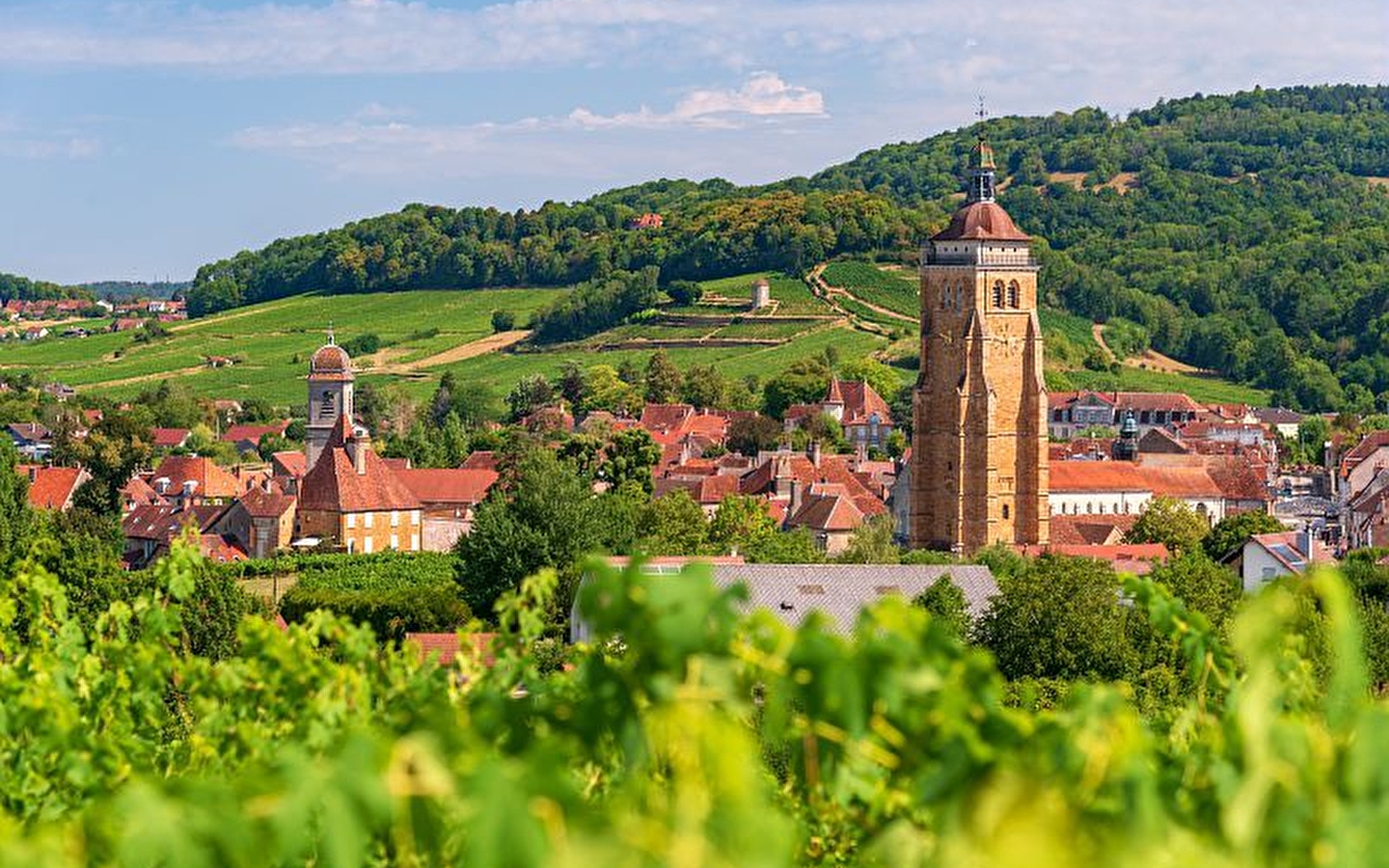 Uitstapje in de JURA: terroir en comté