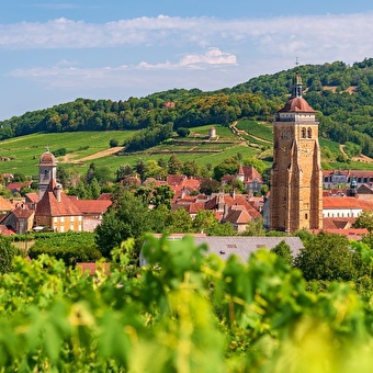 Uitstapje in de JURA: terroir en comté -